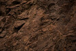 Red brown stone background. Rock surface. Mountain texture. Close-up. Bright rock background for your design.