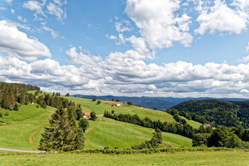 Sticker - Paysage des Vosges.