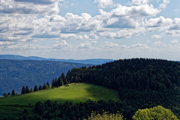 Sticker - Paysage des Vosges.