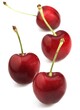 © slowmotiongli - BIGARREAU CHERRIES (FRENCH SPECY) AGAINST WHITE BACKGROUND
