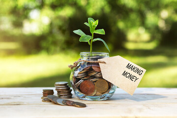 Micro finance. Glass jar with coins and a plant in it, with a label on the jar and a few coins on a wooden table, natural background. Finance and investment concept. 