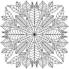 mandala formed with branches and leaves of different sizes drawn on a white background for coloring, vector, autumn