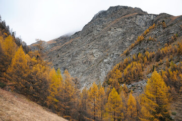 Wall Mural - Hiking up to Triftalp in autumn.