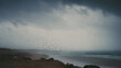 © Andre Silva - hundreds of birds flying over stormy beach