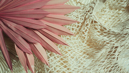 close up of a tropical palm