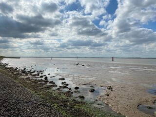 Wall Mural - View of the broads National Park from the river bank in a cloudy day shoot taken against the sun with a dramatic sky and strong shadow in Great Yarmouth