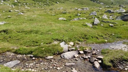 Canvas Print - Pyrénées montagnes Andorre vert environnement Pas de la Casa