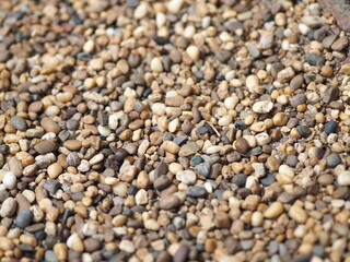 Background of small pebbles round sea stones texture rocks material