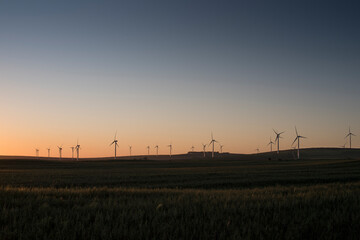 A wind farm during sunset. Turbines generating electricity. Green energy