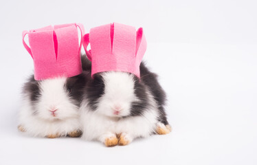 Two cute twin rabbits wearing pink chef hat sitting on white background.  Twins, sibblings, baby shower concept.