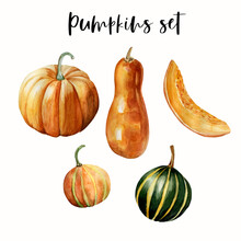 Watercolor Hand Painted Realistic Illustrations Of 4 Ripe Orange Pumpkins And 1 Piece Of Pumpkin. Isolated Elements On White Background. Perfect For  Fall, Halloween Or Thanksgiving Designs.