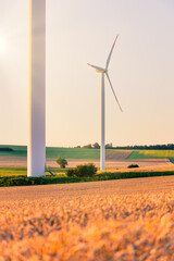 Wind turbine / windmill creating green energy. Warm colors.