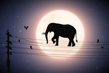 Sticker - Elephant walks on power line on moonlight night. Silhouette of big animal and birds on electrical wires. Full moon in starry sky. Abstract vector illustration for use in polygraphy, textile, decor