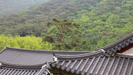 Wall Mural - chinese temple roof