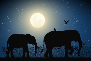 Sticker - Elephant family walking in tall grass on moonlight night. Animal mother and baby silhouettes. Full moon in blue starry sky. Vector illustration for use in polygraphy, textile, design, nursery decor