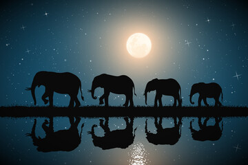 Sticker - Elephant family on river bank. Animal silhouettes. Moon in starry sky