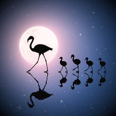 Sticker - Flamingo family on lake. Birds silhouettes. Moon in night starry sky