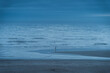 Unidentifiable single person fishing in ocean at blue hour