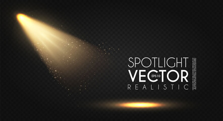 Wall Mural - spotlight. transparent light effect. show design. light source. empty scene.