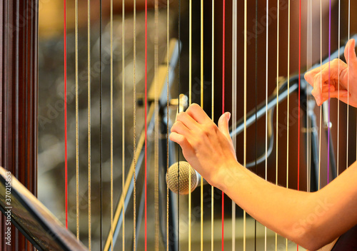 Obraz Dibond Woman playing the harp close up. Fingers playing the strings of a harp.