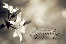 Sympathy Card With Lily Flowers