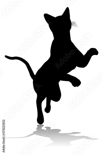 A silhouette cat pet animal...