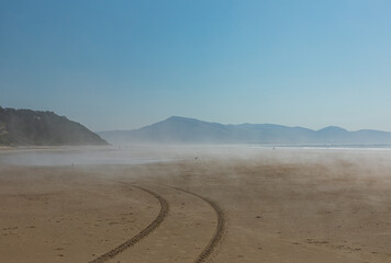 Wall Mural - Vehicle tracks lead into low fog that hangs over a sandy beach on a sunny day in Oregon