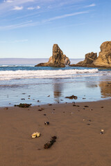 Wall Mural - Vertical Image- Sea stack rocks reflecting in the water on Bandon beach