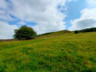 green field and blue sky