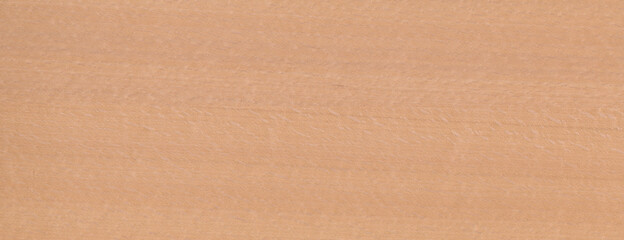 Wall Mural - Wood Texture Beech Background