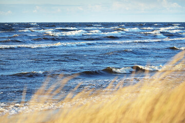 Wall Mural - A view the Baltic sea shore at sunset. Sand dunes and plants (dune grass, Ammóphila) close-up. Waves and water splashes. Idyllic seascape. Early spring in Latvia. Eco tourism, environment, ecology