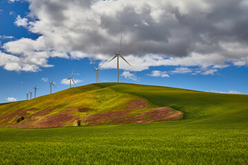 wind turbine on a green field