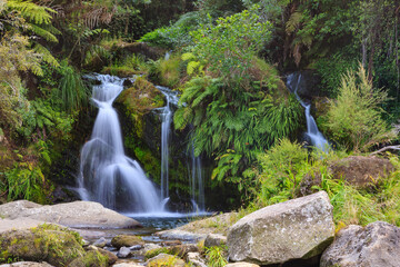 A waterfall cascading through the forest in the Kaimai Mountains, New Zealand