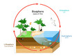Biosphere. natural ecosystems with wildlife
