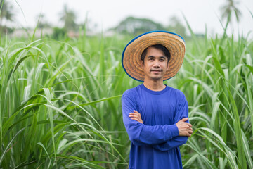 Wall Mural - Asian farmer man wear blue t-shirt smile and standing at corn farm green leaf background