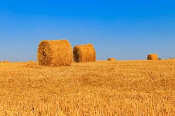 Round straw bales on a field after the grain harvest