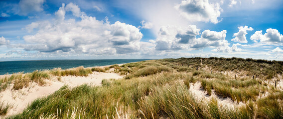 Wall Mural - landscape with grass and sky sylt german island north sea