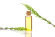 horsetai essential oil in  beautiful bottle on White background