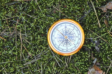 Wall Mural - round compass on background of summer grass as symbol of tourism with compass, travel with compass a