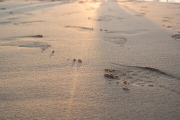 footprints on the beach