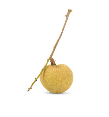 Poster - fresh longan isolated on white background. full depth of field