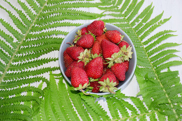 Wall Mural - Ripe juicy strawberries in a plate on a background of fern