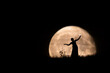 The Woman in the Moon 
Die Frau im Mond