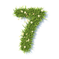 Wall Mural - Grass font Number 7 SEVEN 3D