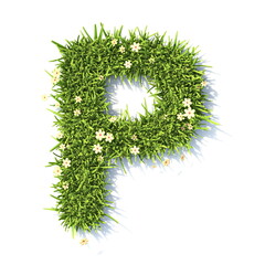 Wall Mural - Grass font Letter P 3D