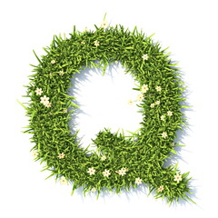 Wall Mural - Grass font Letter Q 3D