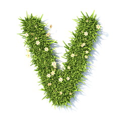 Wall Mural - Grass font Letter V 3D