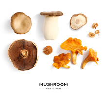 Creative Layout Made Of Mushrooms On White Background. Flat Lay. Food Concept. 