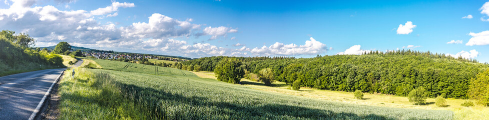 Wall Mural - Idyllic panorama from farmland with country road