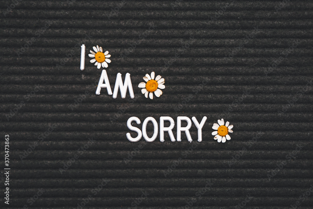 Board with word I AM SORRY, closeup